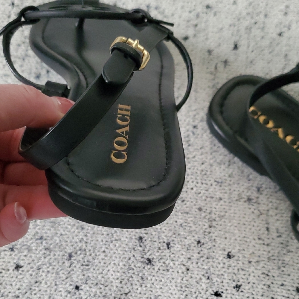 Coach Jaci Sandals - Picture 11 of 14